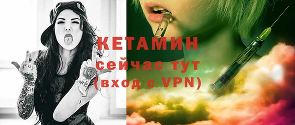 хмурый Гусь-Хрустальный