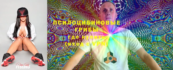 хмурый Гусь-Хрустальный
