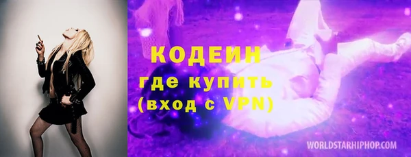 хмурый Гусь-Хрустальный