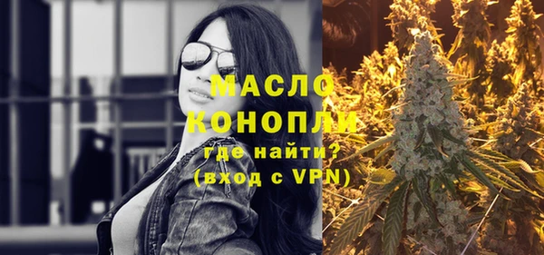 хмурый Гусь-Хрустальный