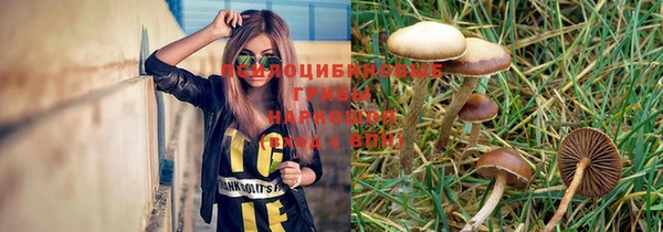мдма Гусев
