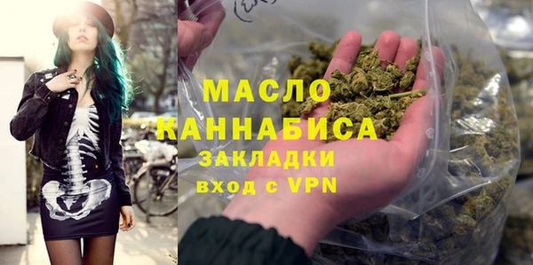 хмурый Гусь-Хрустальный