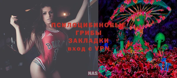 хмурый Гусь-Хрустальный