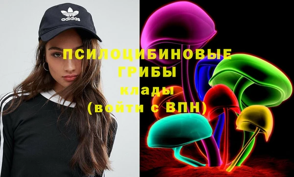 мдма Гусев