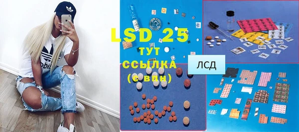 хмурый Гусь-Хрустальный