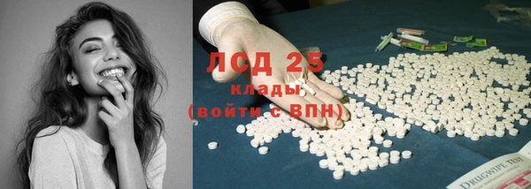 хмурый Гусь-Хрустальный