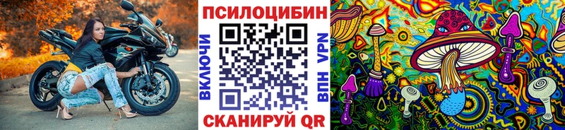 площадка клад  Евпатория  Псилоцибиновые грибы Psilocybine cubensis 